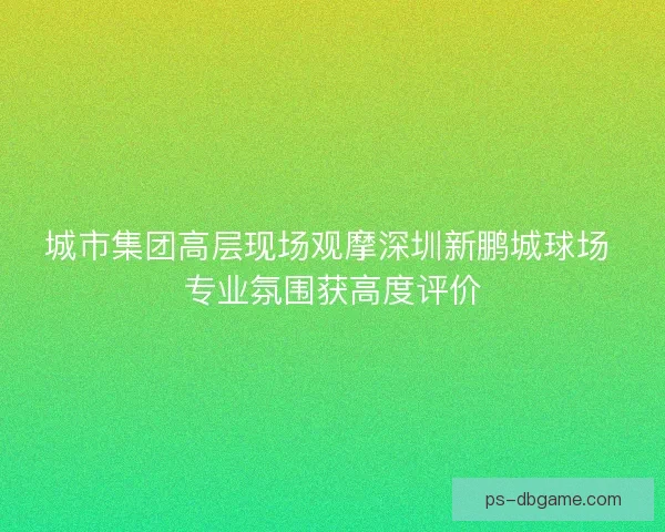 城市集团高层现场观摩深圳新鹏城球场 专业氛围获高度评价 城市集团高层现场观摩深圳新鹏城球场 专业氛围获高度评价